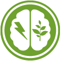 fixed-growth-mindset